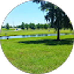 Profile photo of awilda fegans