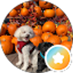 Profile photo of CTNYC Family