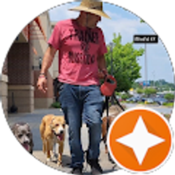 Profile photo of Blissful K9