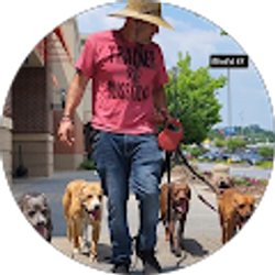 Profile photo of Blissful K9