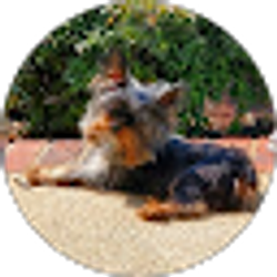 Profile photo of Crystal Lamm