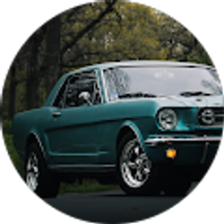 Profile photo of Fernando O jr