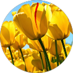 Profile photo of Kelly Hamilton