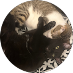 Profile photo of Kim Lippert