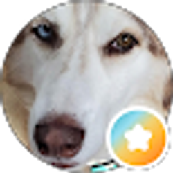 Profile photo of jarrod b