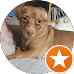 Profile photo of Joe Grady