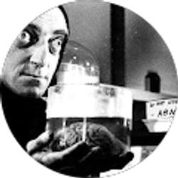 Profile photo of Patrick Malone