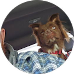 Profile photo of Jimmy Salyer