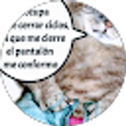 Profile photo of Lupe G Galvez