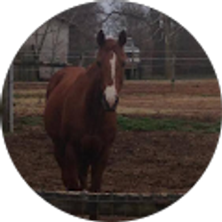 Profile photo of Cynthia Dyson