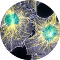 Profile photo of Em Ge