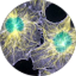 Profile photo of Em Ge