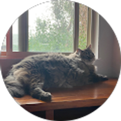 Profile photo of Melissa Hayashi