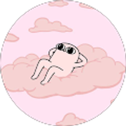 Profile photo of Carolina Iturra