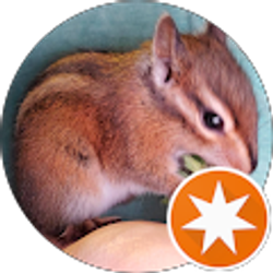 Profile photo of Summer Casey