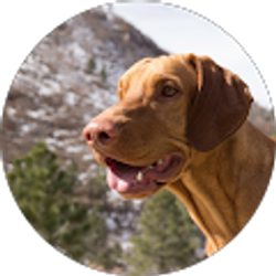 Profile photo of Justin-EC