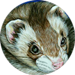 Profile photo of Stephanie Jamison