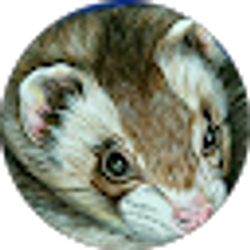 Profile photo of Stephanie Jamison