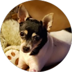 Profile photo of Bridgette Jackson