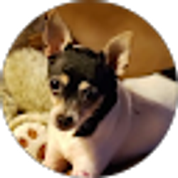 Profile photo of Bridgette Jackson