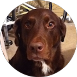 Profile photo of Jorge S.