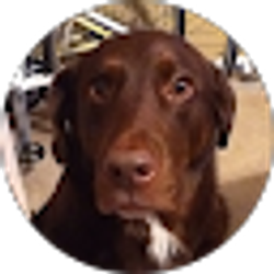 Profile photo of Jorge S.