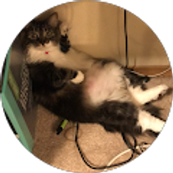 Profile photo of KBlake