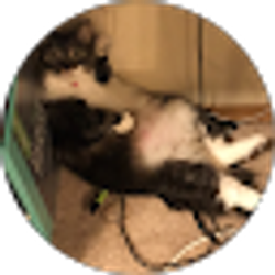 Profile photo of KBlake