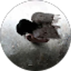 Profile photo of Alexandra Petovello