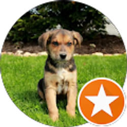 Profile photo of Eitan Kats