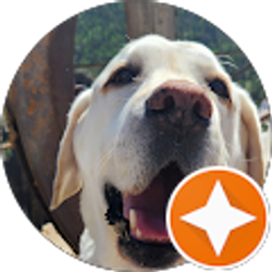 Profile photo of Starla David