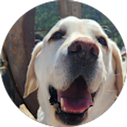 Profile photo of Starla David