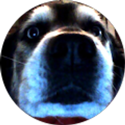 Profile photo of Sarah Parker