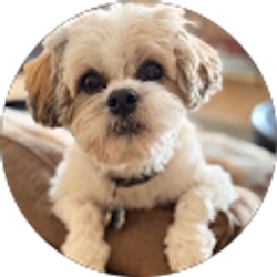 Profile photo of Carrie Pfeffer