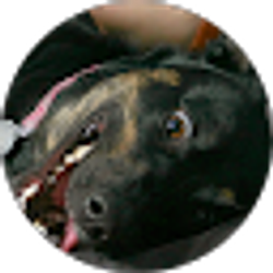 Profile photo of Rick V