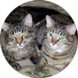 Profile photo of Toni Tuttle