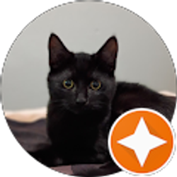 Profile photo of Fazzea Hal