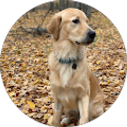 Profile photo of Kyle Chilla