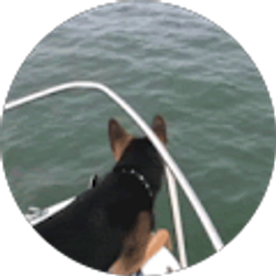 Profile photo of Vernie Hellmann (Skeetergold8163)