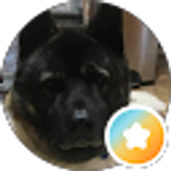 Profile photo of B G
