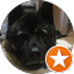 Profile photo of B G