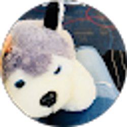 Profile photo of Sana Tan