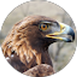 Profile photo of Librarian MLIS