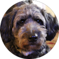 Profile photo of Jaydon England