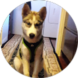 Profile photo of Sahory Morales