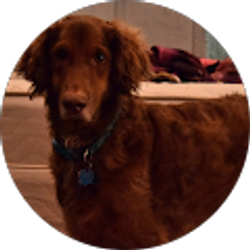 Profile photo of Madison Reynolds