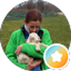 Profile photo of Ellen Schneiderman