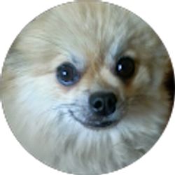 Profile photo of jacob g