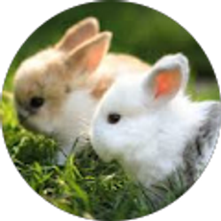 Profile photo of Aly D