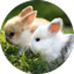 Profile photo of Aly D